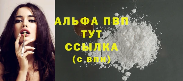 сатива Надым