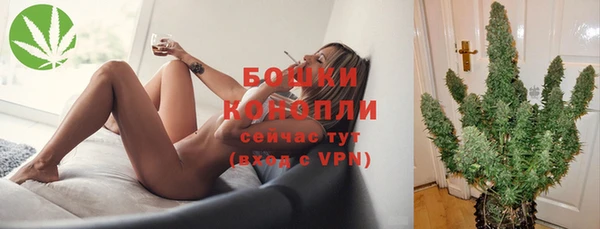 сатива Надым