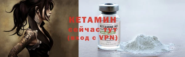 сатива Надым