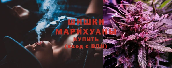 сатива Надым