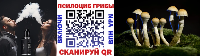 ссылка на мегу ONION  Кораблино  Псилоцибиновые грибы мухоморы 
